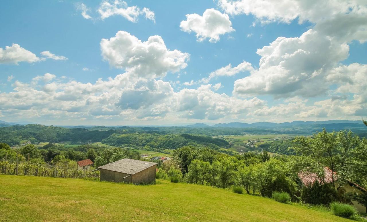 Holiday Home Bor ポドチェトルテク エクステリア 写真